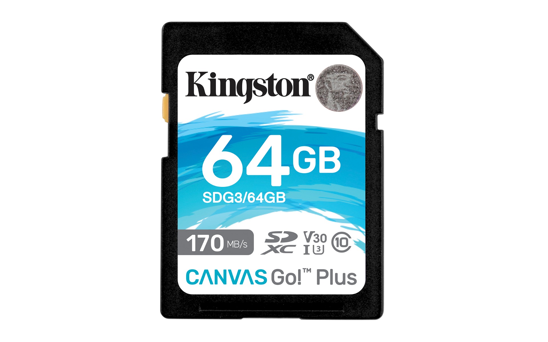 Kingston Canvas Go! Plus SD Card