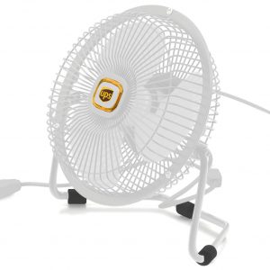 branded rainbow fan