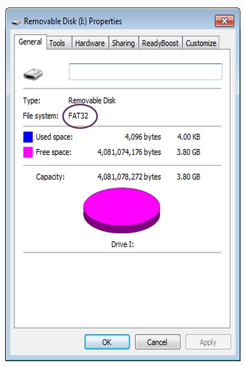 File Format